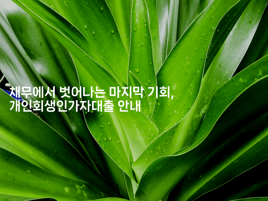 채무에서 벗어나는 마지막 기회, 개인회생인가자대출 안내-스타픽