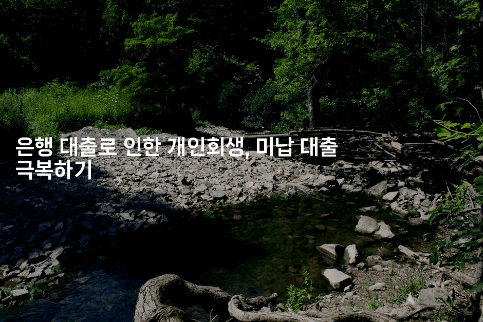 은행 대출로 인한 개인회생, 미납 대출 극복하기-스타픽